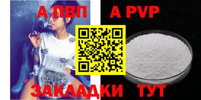 стаф Шебекино