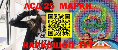 стаф Шебекино