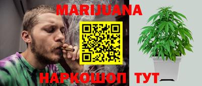 стаф Шебекино