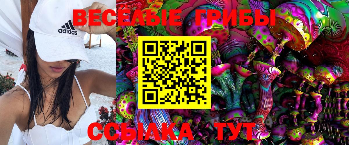 Галлюциногенные грибы ЛСД Белая Калитва